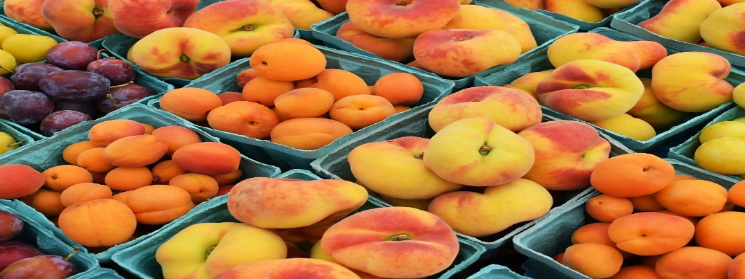 ABC Fruits Expands Global Fresh Produce Network Across International Markets
