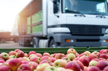 ABC Fruits International